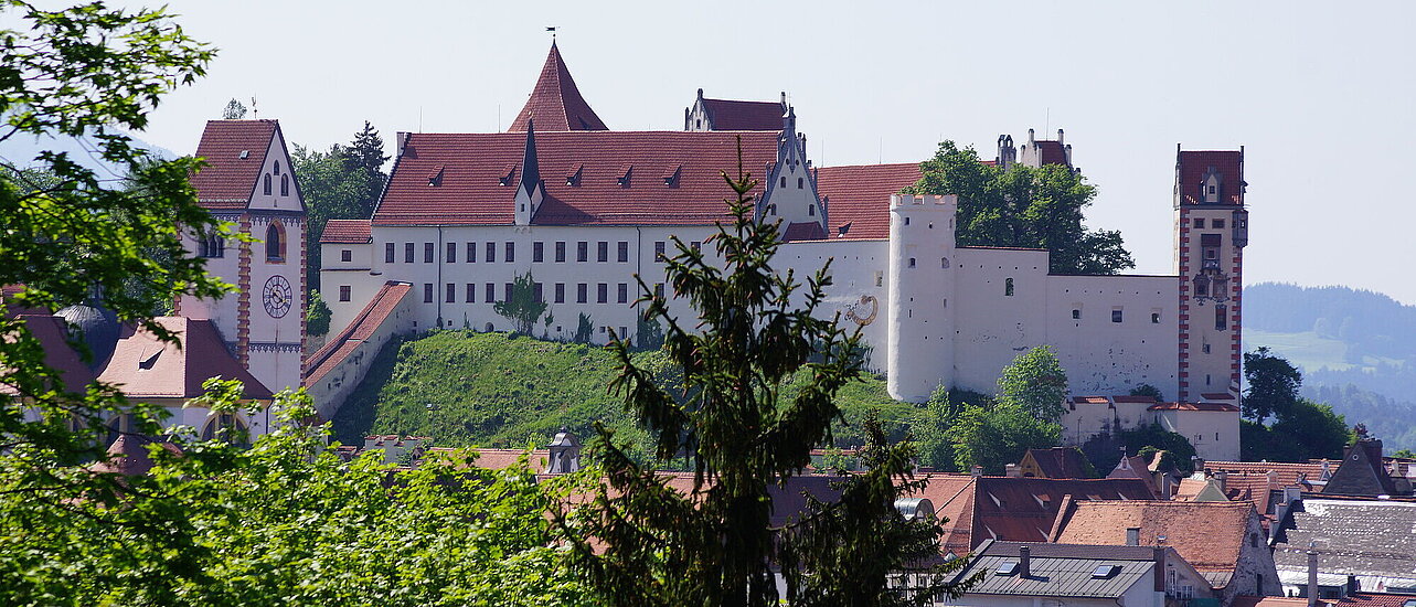 Blick auf das Hohe Schloss