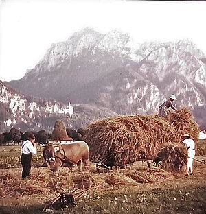 Landwirte vor Schloss Neuschwanstein