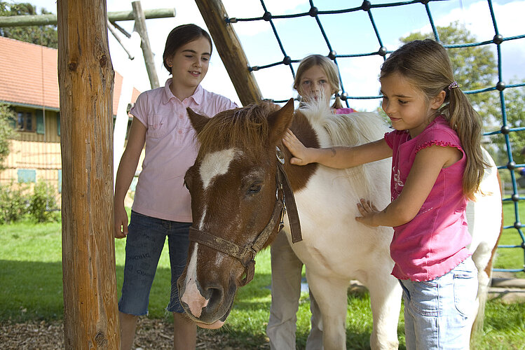 Kinder mit Pony in Schwangau im Allgäu
