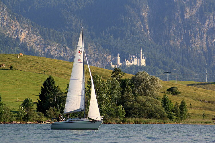 Der Forggensee mit Segelboot und Schloss Neuschwanstein im Hintergrund