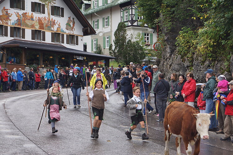 Alpabtrieb in Schwangau im Allgäu in Bayern