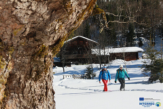 Winterwanderweg zur Bleckenau in Schwangau im Allgäu